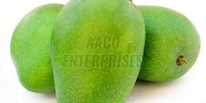 Fresh Raw Mango