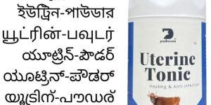 Pashuvaa Uterine Tonic