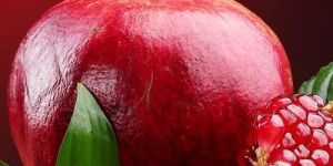 Fresh Pomegranate