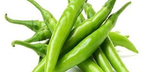 Green Chilli