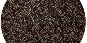 Black Mustard Seeds