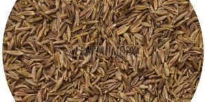 Carom Seeds