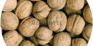 Chile Walnut with Shell