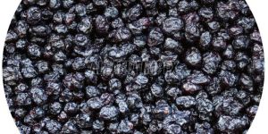 Dried Blueberries