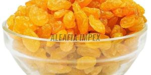 Golden Raisins