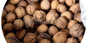 Kashmiri Walnut with Shell