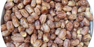 Wet Zahidi Dates