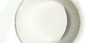 250 Ml Disposable Bowl