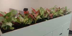 Garden Landscaping Services