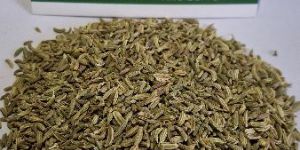 Fennel Seeds