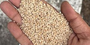 Sesame Seeds