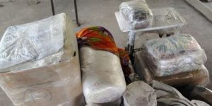 Packers and Movers Boxes