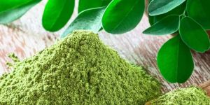 Dehydrated Moringa Powder