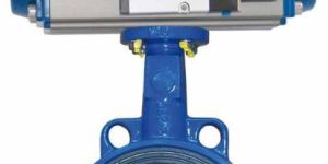 Pneumatic Actuator Type Butterfly Valve