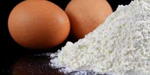 Egg White Powder