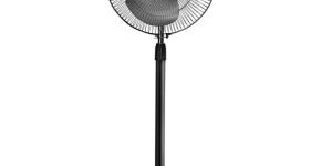 Pedestal Fan
