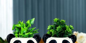 Flower Pot