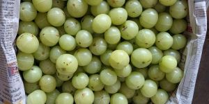 Amla