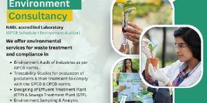 Environment Consultancy Services