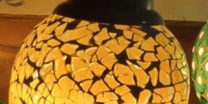 Electric Kapoor Dani