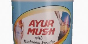 Ayur Mush Ayurvedic Herbal Churn Powder