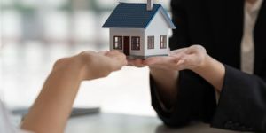 Real Estate Consultant