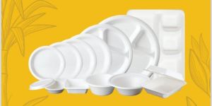 Bagasse Disposable Plate