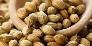 Coriander Seeds