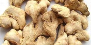 Dried Whole Ginger