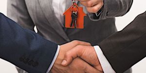 Real Estate Consultant