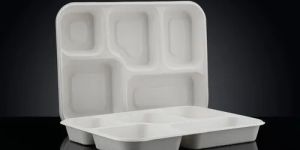 5 CP Disposable Bagasse Meal Tray