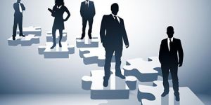 Placement Consultant