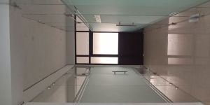 Frameless Glass Partitions