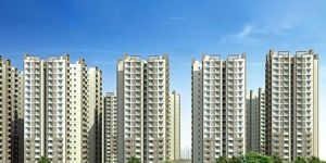 Builders & Developers