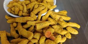 Rajapuri Turmeric