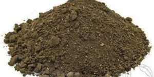 Cow Dung Powder