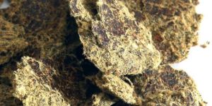 Bansuri Cotton Seed Oil Cake