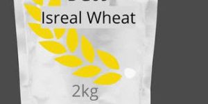 Israel DG 09 Wheat Grass Seeds For Farming- DG 09 Gehu Seeds