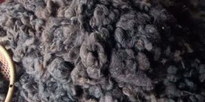 Raw Human Hair