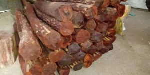 9 Feet Red Sandalwood Logs