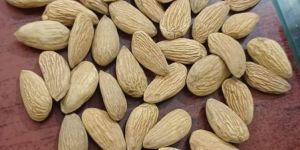 Almond
