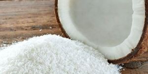 Indian Desiccated Coconut Powder