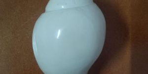 Conch Shell Shankh