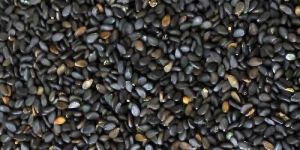 Black Sesame Seeds