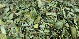 Dry Moringa Leaves