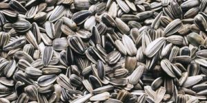 Sunflower Seeds