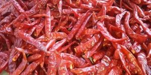 Sannam 334 Dried Red Chilli