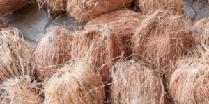 Semi Husked Coconut