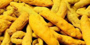 Turmeric Finger