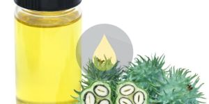 Castor Oil